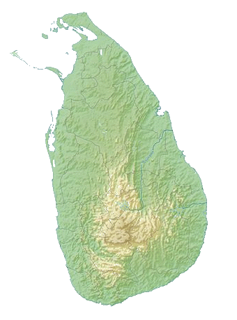 Chandis Srilankan Tours